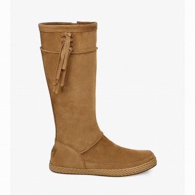 Botas UGG Emerie Mulher Marrom | PT-IPTJZ